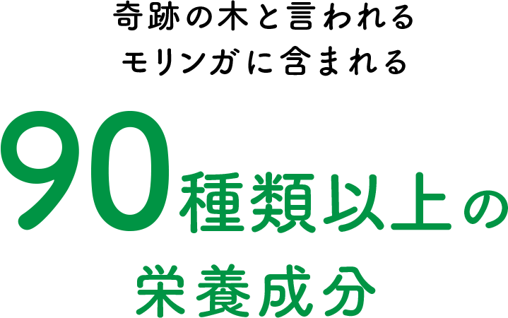 奇跡の木と言われるモリンガに含まれる90種類以上の栄養成分